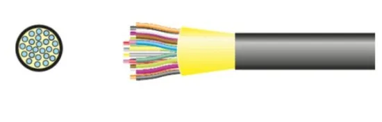 mtp-24 mtp-24